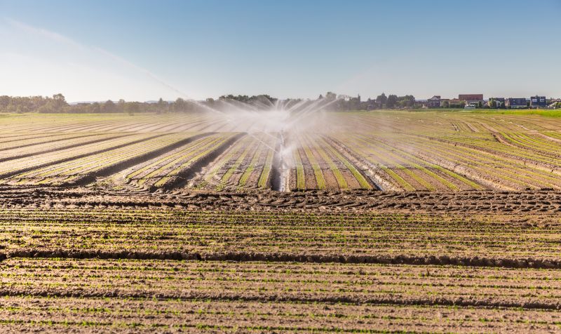 Irrigation Installation in Honolulu, HI