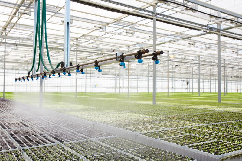 Irrigation Service in Honolulu, HI