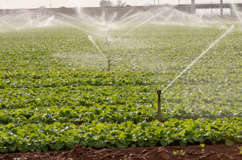 Sprinklers Blow Out Cost — Cost of Sprinklers Blow Out Service