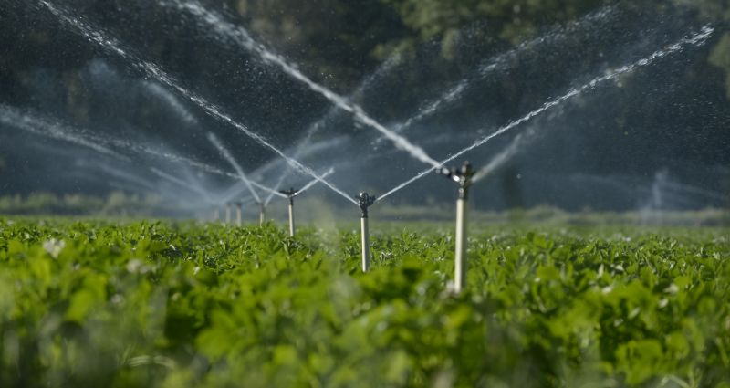 Sprinklers Blow Out Cost — Cost of Sprinklers Blow Out Service
