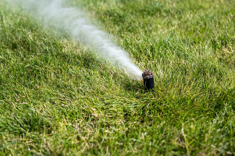 Sprinkler System Preparation