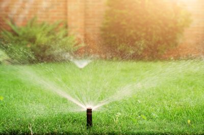 Sprinklers Blow Out Service