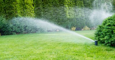 Sprinklers Blow Out Service